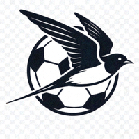 雨燕足球官方平台Logo - 免费高清足球直播视频